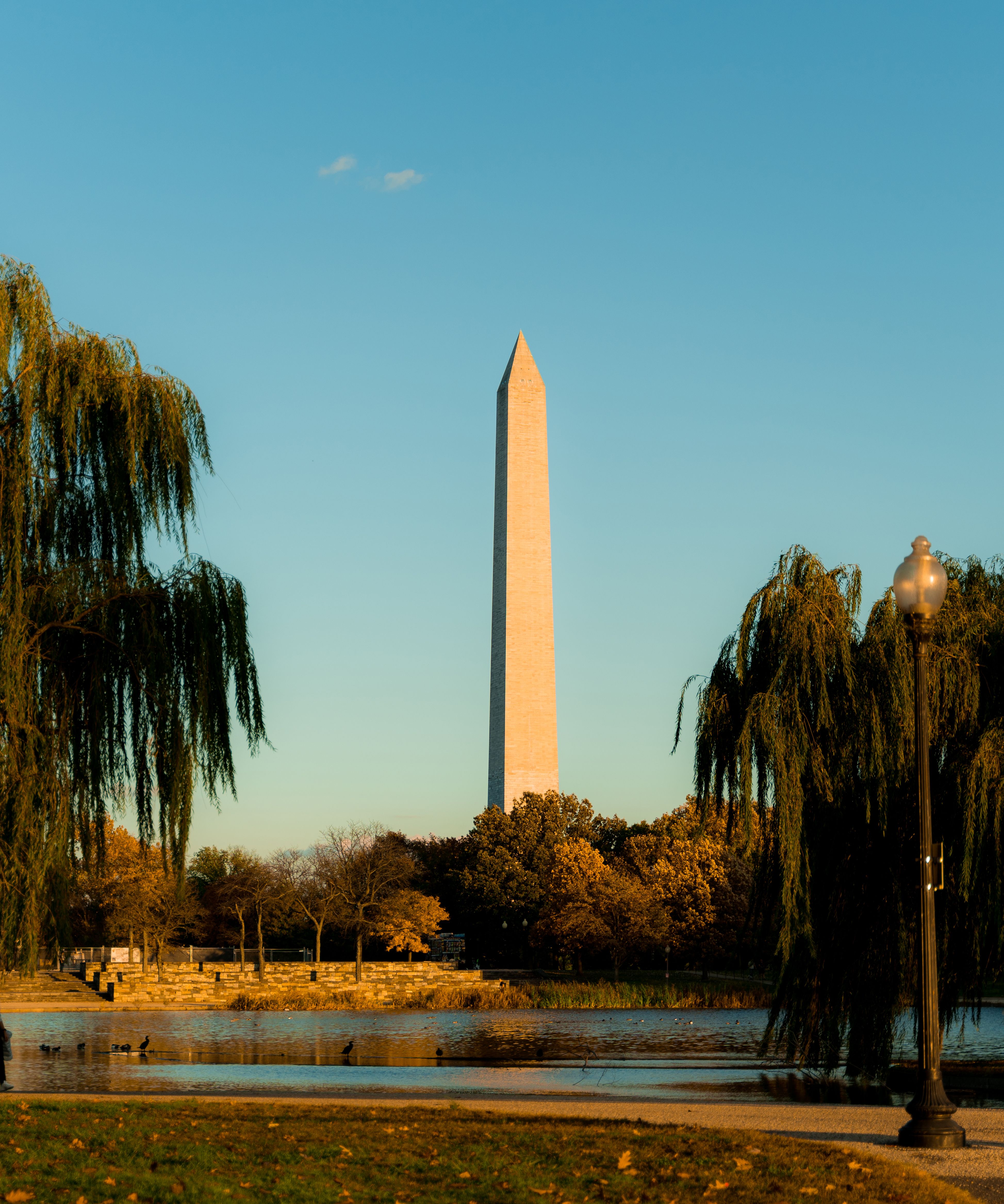 Capitals garage sale: Washington fans can find merch at a discount - Axios  Washington D.C.