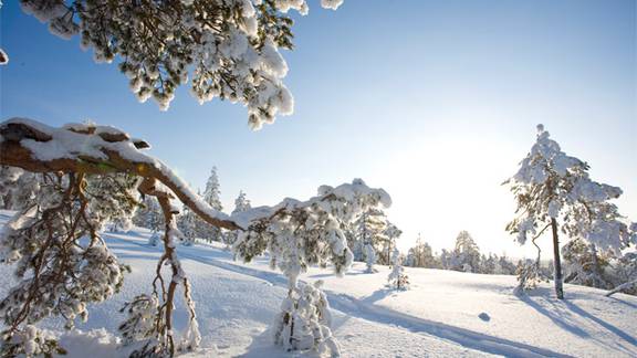 Finland: Santa's winter wonderland in Rovaniemi - NZ Herald