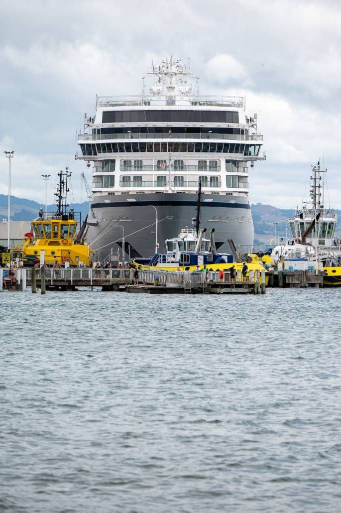 The Tauranga Port has been busy with 55 cruise ships entering the harbour so far over the current season. Photo / David Hall