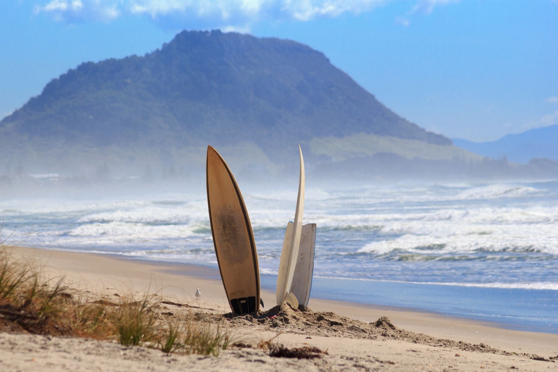 Stark has been trading in the snow for the sandy beach of Pāpāmoa since 2010.