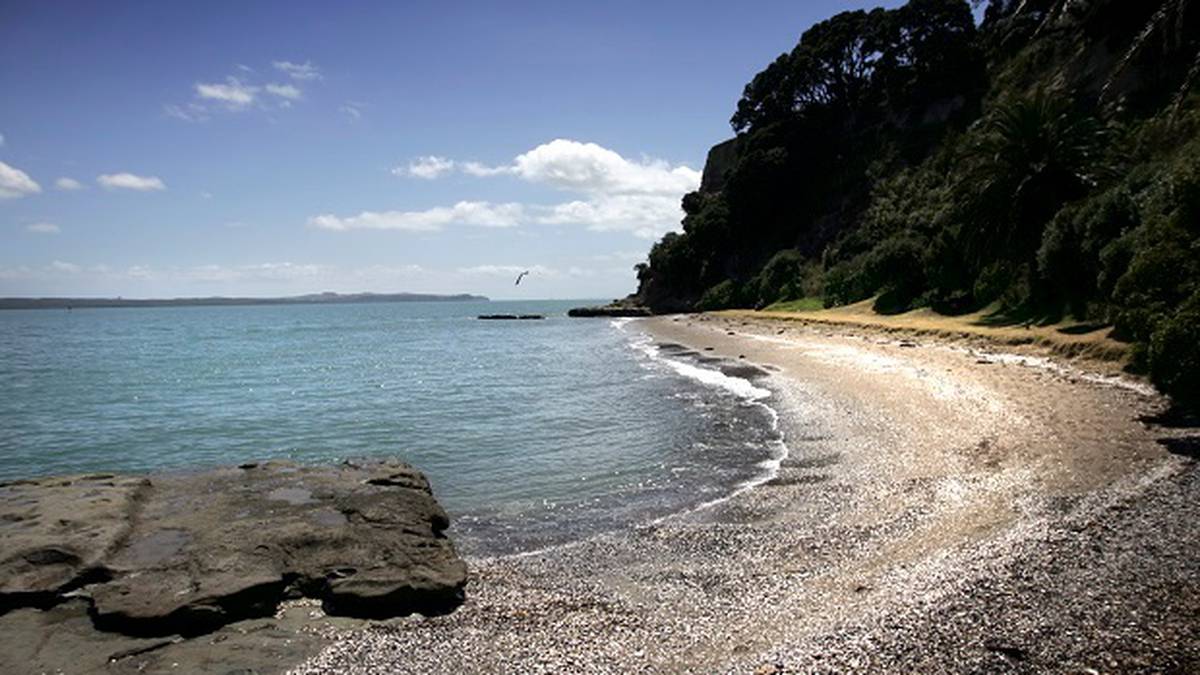 1200px x 675px - Auckland nudist beach Ladies Bay set to unveil name options for historical  signs - NZ Herald