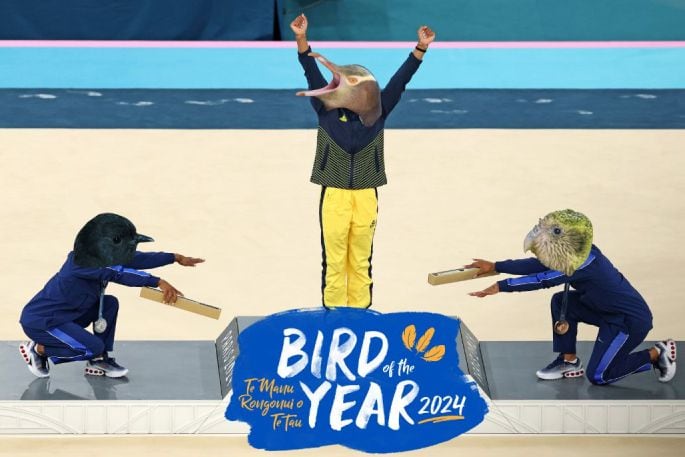 2024 NZ Bird of the Year podium. Photo supplied.