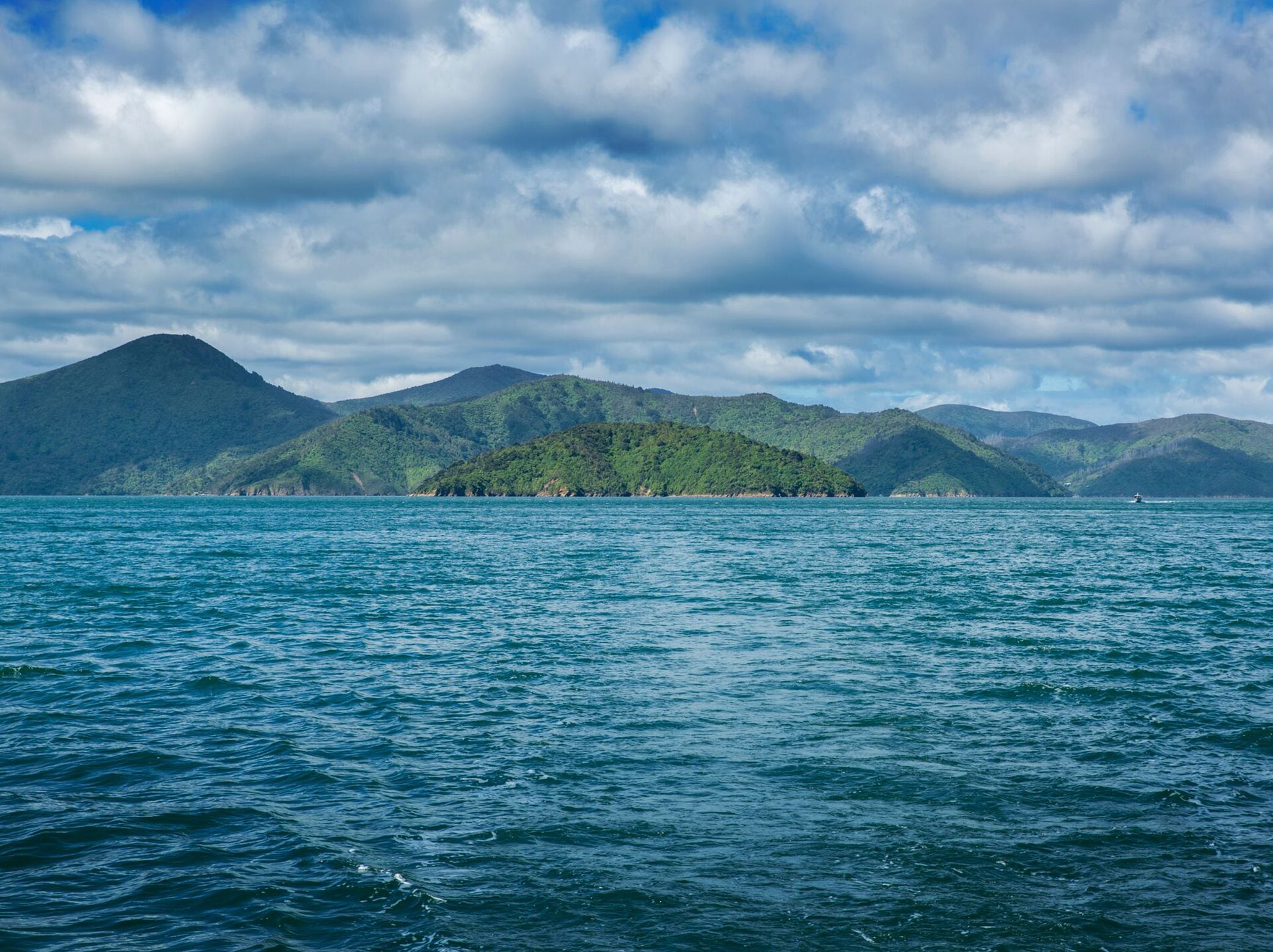 Exploring A Taste Of The Marlborough Region With Cloudy Bay - NZ Herald