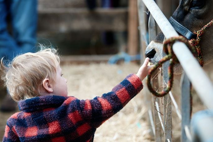 Visitors enjoyed interacting with the animals at the seventh Owl Farm open day. Photo: supplied.