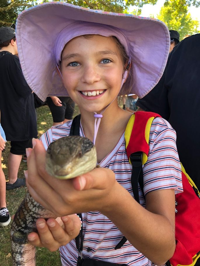 Lexi Evans, 13, with a blue tongue lizard from Reptile World. Photo: Rebecca Mauger