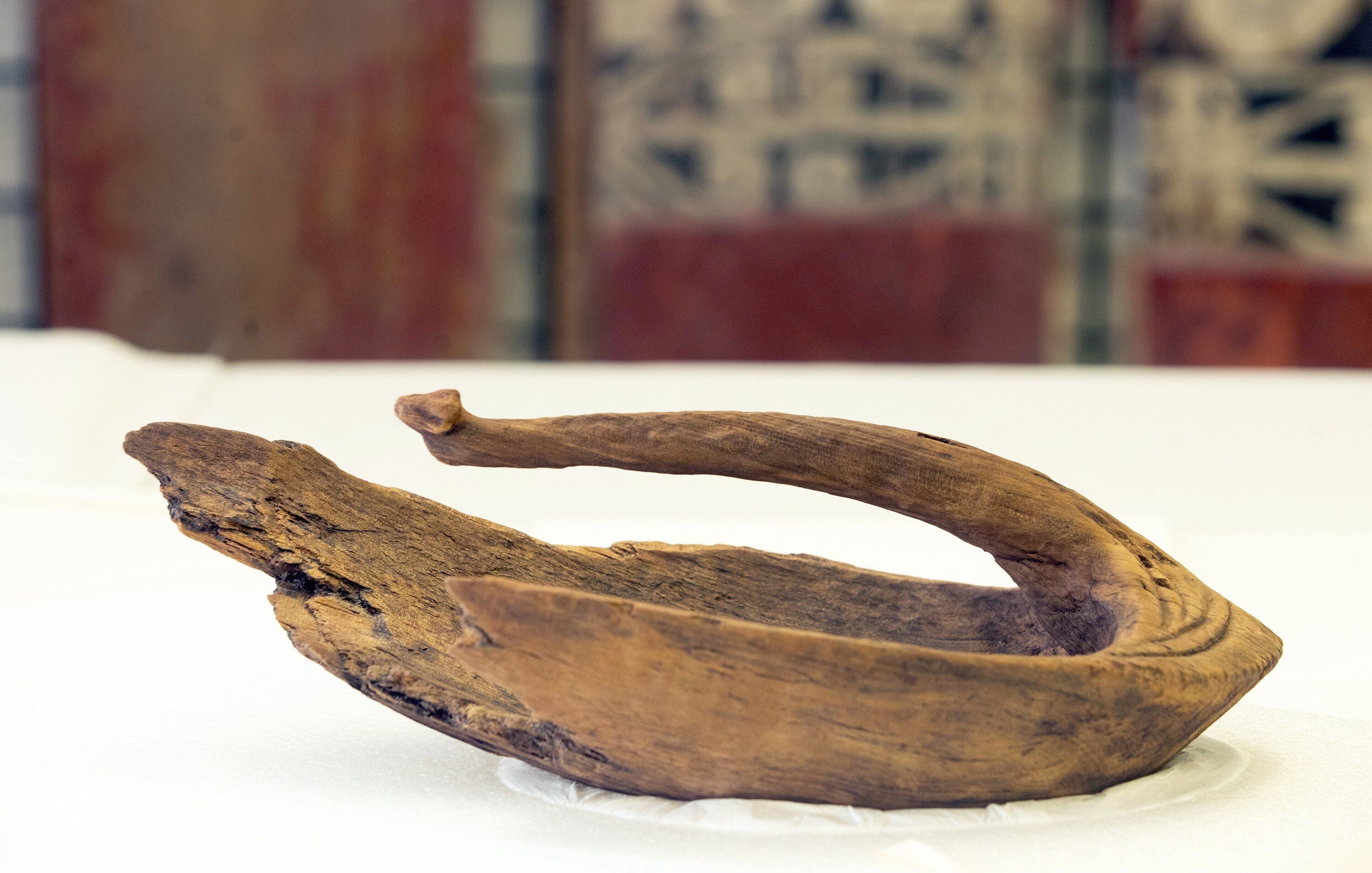 The 14th-century wooden canoe bailer was found in Tauriko in the 1980s. Photo / John Borren