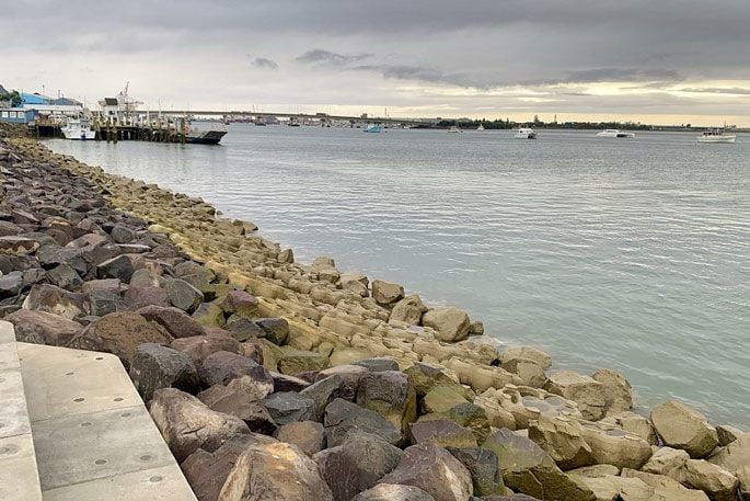 The living seawall, tidal steps and sea pods at the newly opened Northern Waterfront Reserve. 