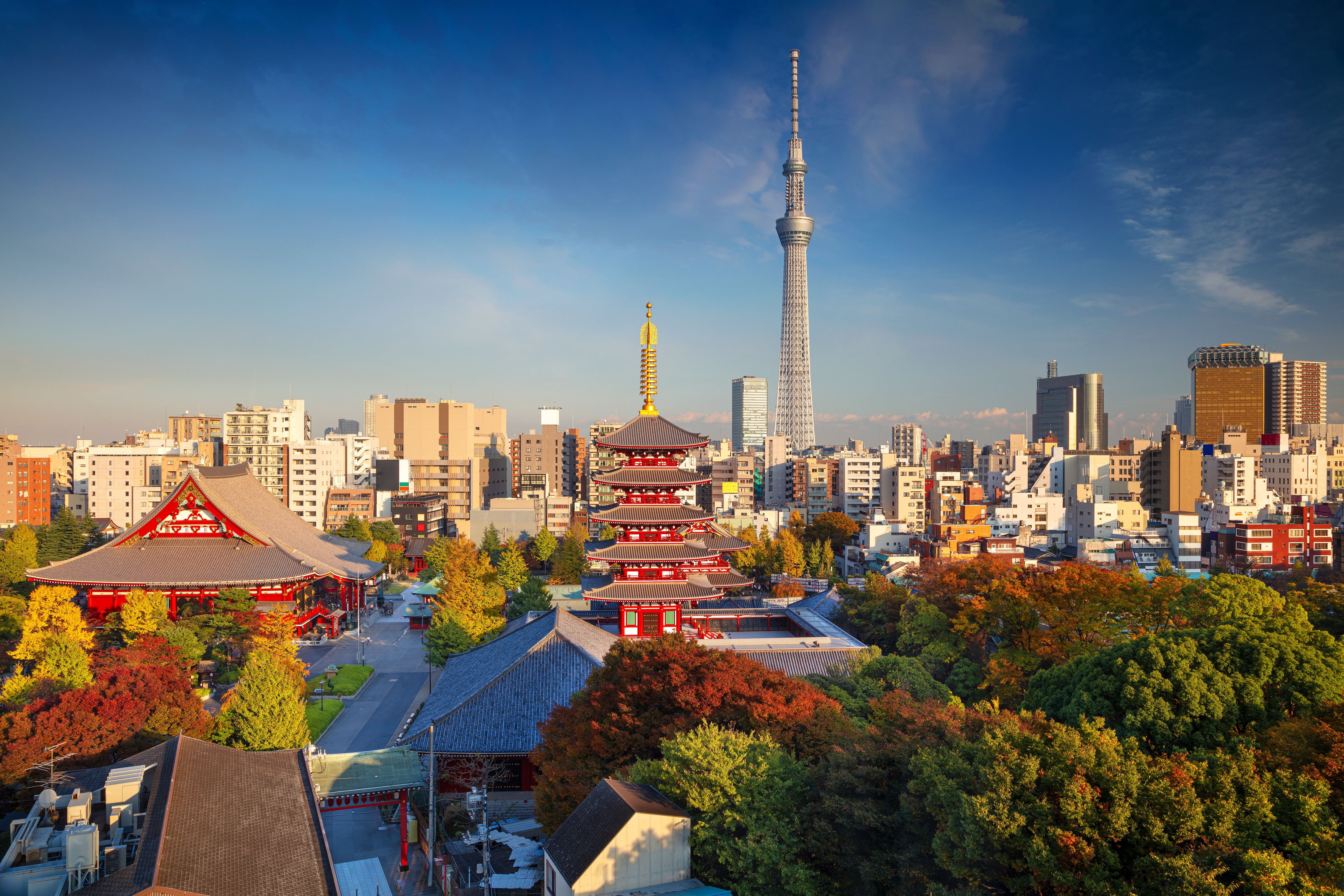 First-time in Tokyo: Top 10 things to see and do - NZ Herald