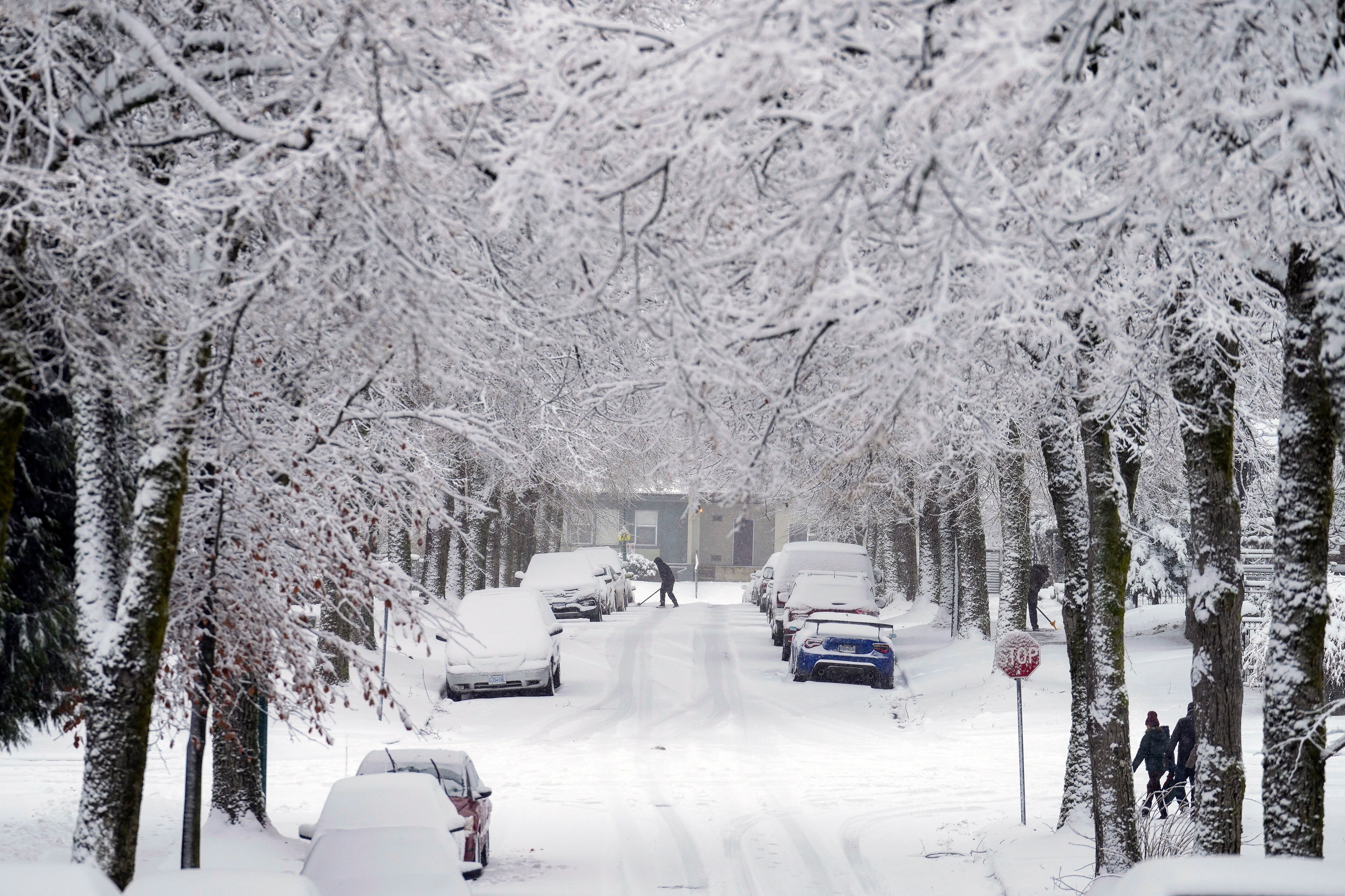 18 die as monster storm brings rain, snow, cold across US - WTOP News