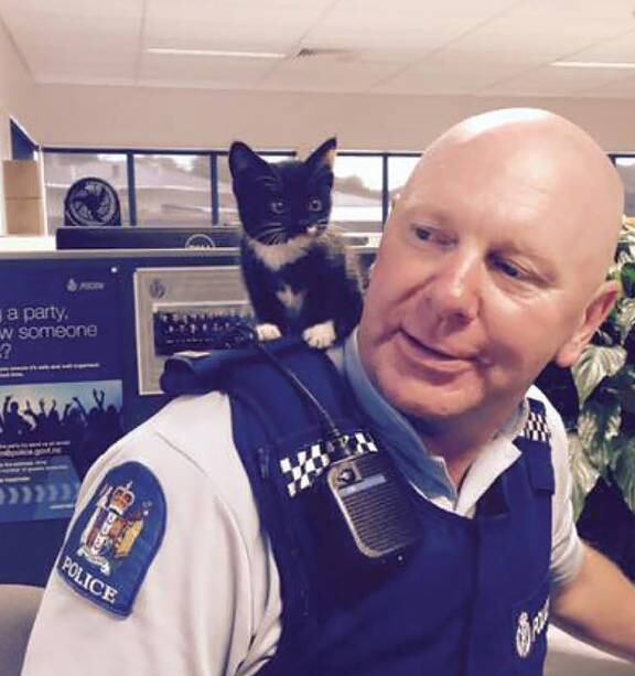 Meet the Cutest (and Cuddliest) Police Officer in New Zealand