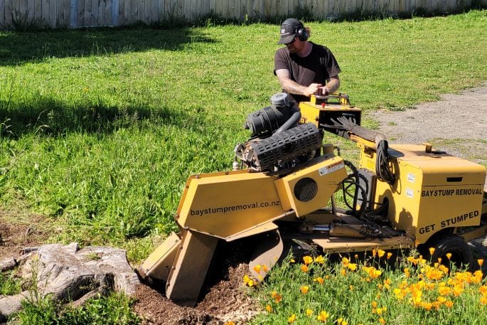 Tree stumps being removed to create the new garden. Photo / Supplied