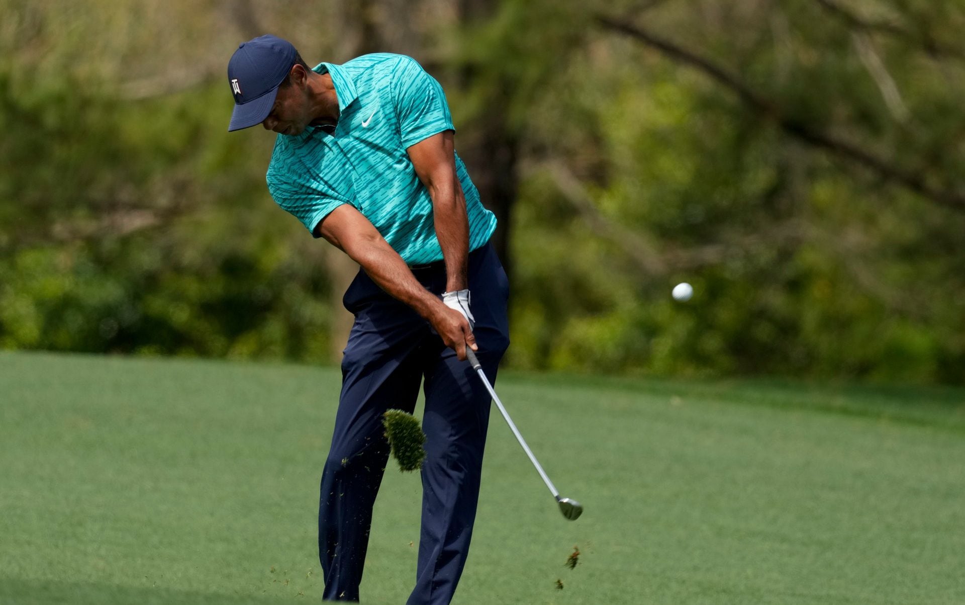 Masters 2022 LIVE leaderboard: Tiger Woods makes the cut as Scheffler holds  lead, Golf, Sport