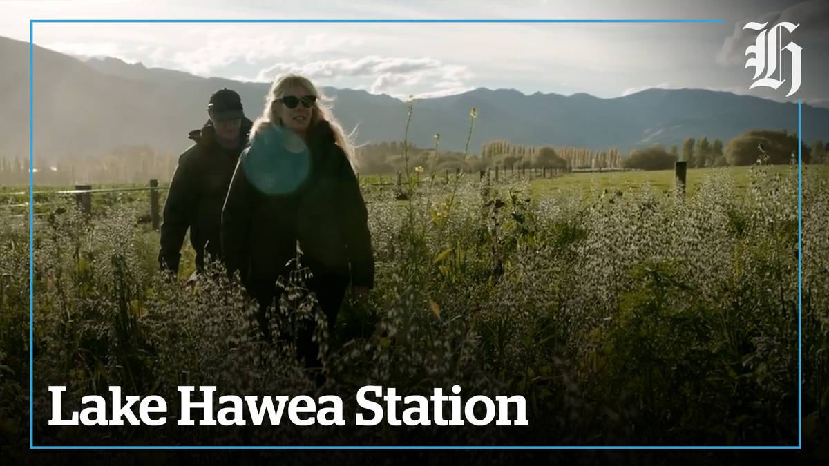 Country Calendar's Lake Hawea Station Trailer NZ Herald