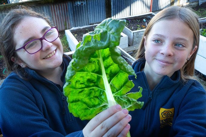 Mila Hales and Ayla Catran love growing vegetables in their school’s food garden. Photo: John Borren.