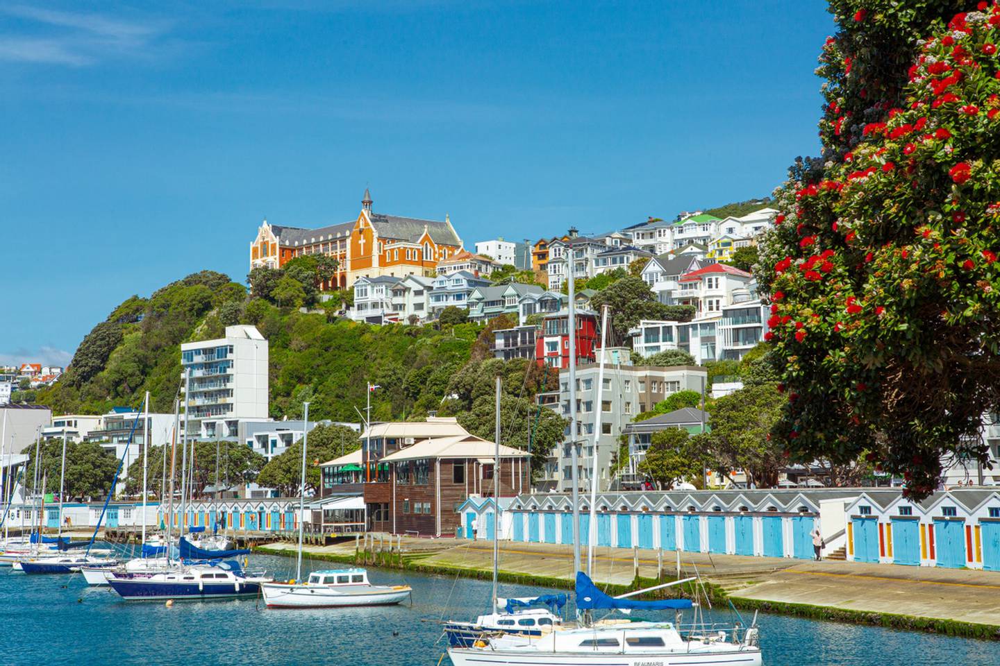 San Francisco of the south: Wellington invites comparisons to many cities. Photo / Supplied, Wellington NZ