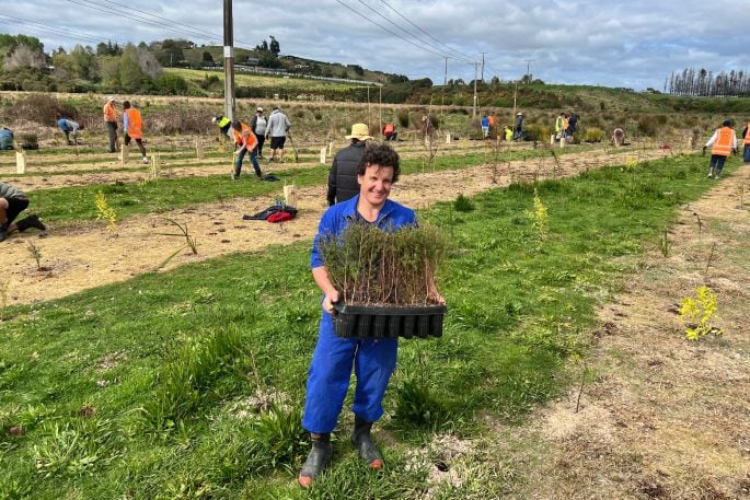 Gordon McFetridge from Ōtūmoetai Rotary helping to plant 4500 plants in Kōpūrererua Valley on September 29. Photo: Supplied.