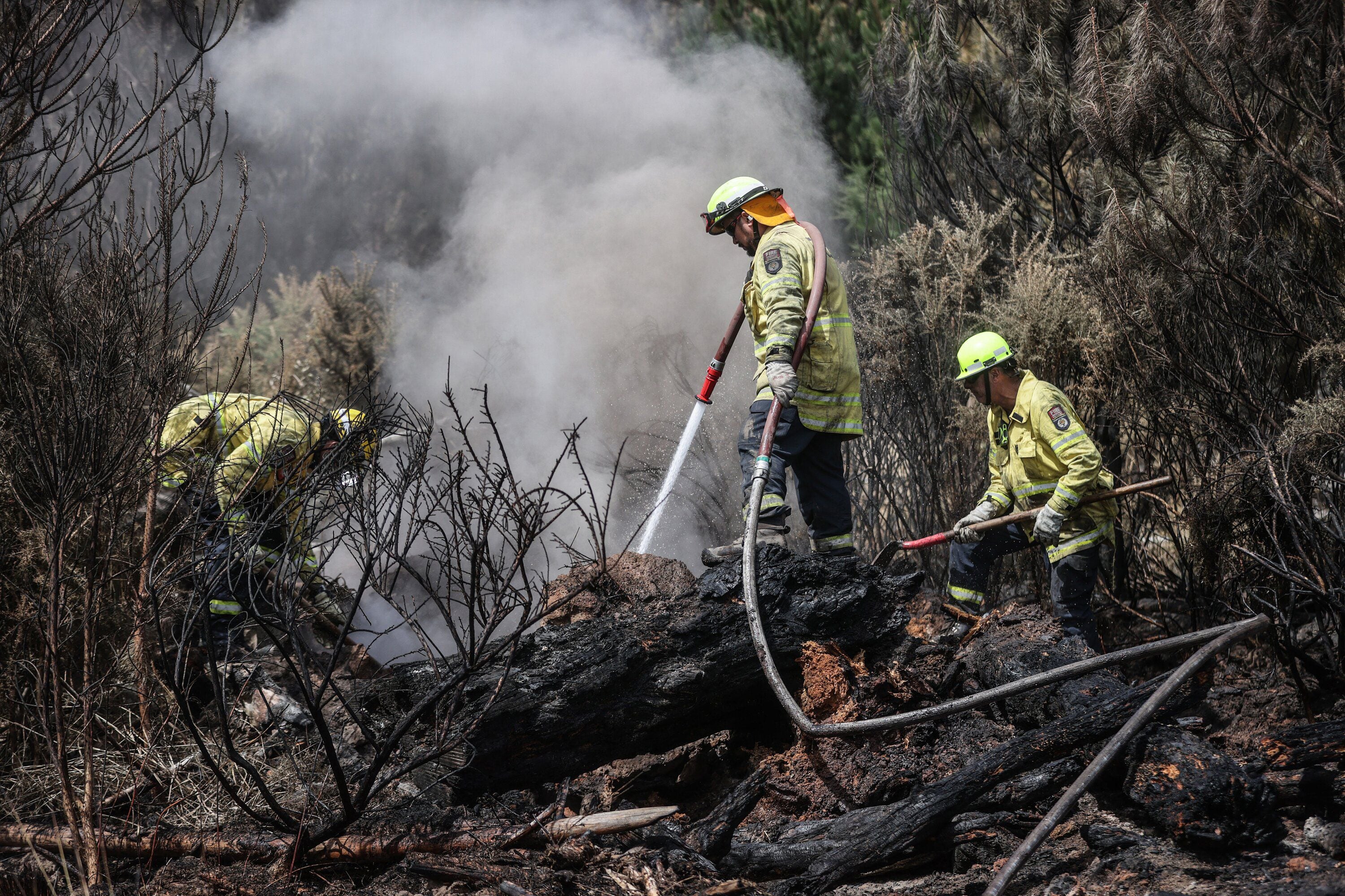 Update: Hyde Park Canyon blaze draws heavy response from fire crews, Accidents & Disaster