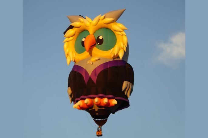 Owlbert Eyenstein hot air balloon. 