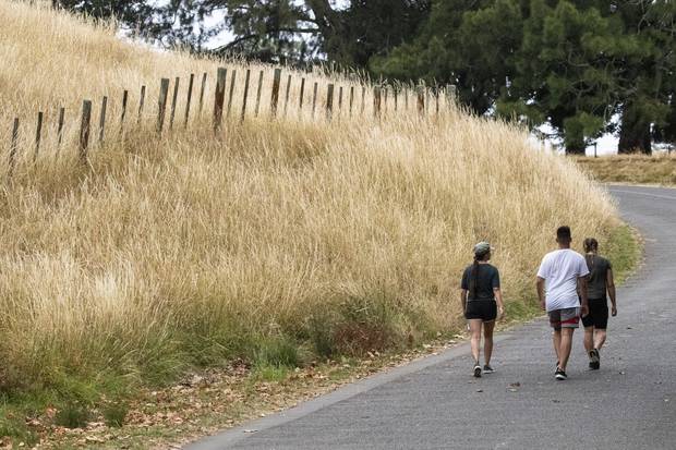 The lack of rainfall is evident for walkers as the summer-dry bites on the slopes of Auckland's One Tree Hill. Photo / NZ Herald