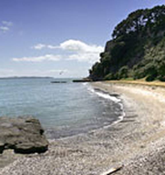 High Quality Beach Voyeur - Dirty blokes' ruining bare-all bay - NZ Herald