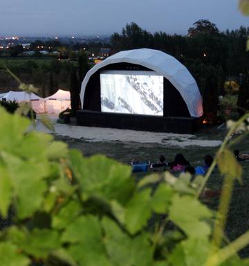 Winehouse Onscreen In Winery Nz Herald