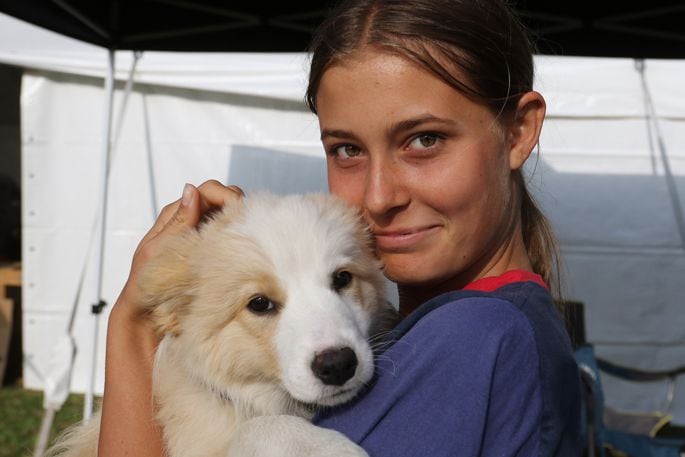 Maia Wright, 14, gets a cuddle with one of the many puppies in the pet area. Photo: Stuart Whitaker