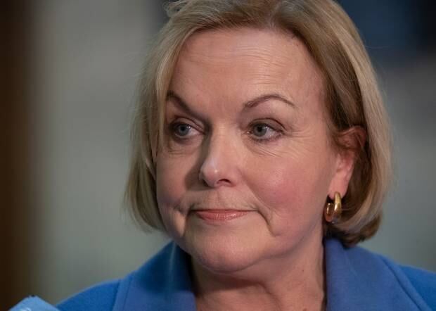 National Party leader Judith Collins. Photo / Mark Mitchell 