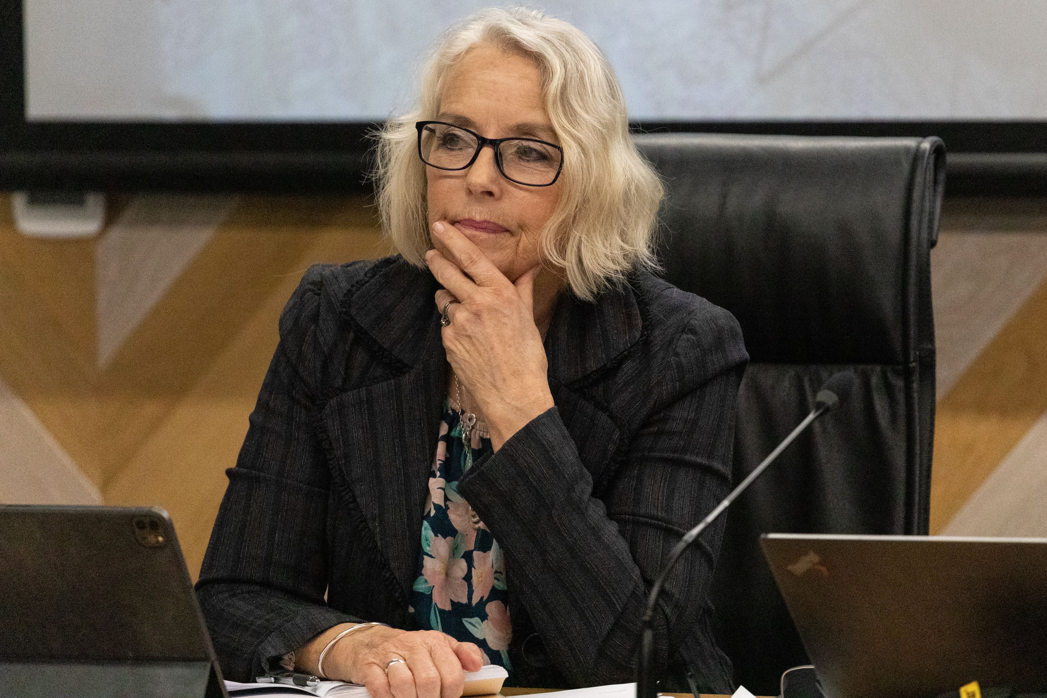 Bay of Plenty Regional councillor Jane Nees Photo / Alex Cairns