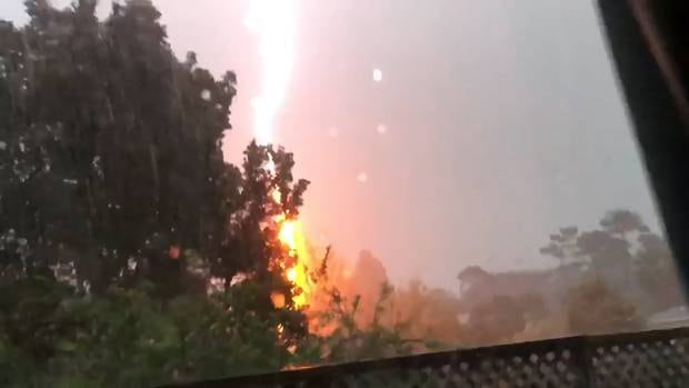 Watch Incredible Moment Lightning Strikes Tree Explodes 