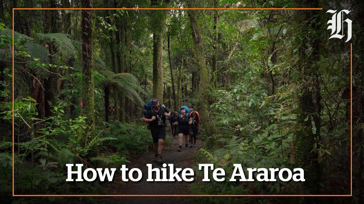 Preparing for the Te Araroa Trail