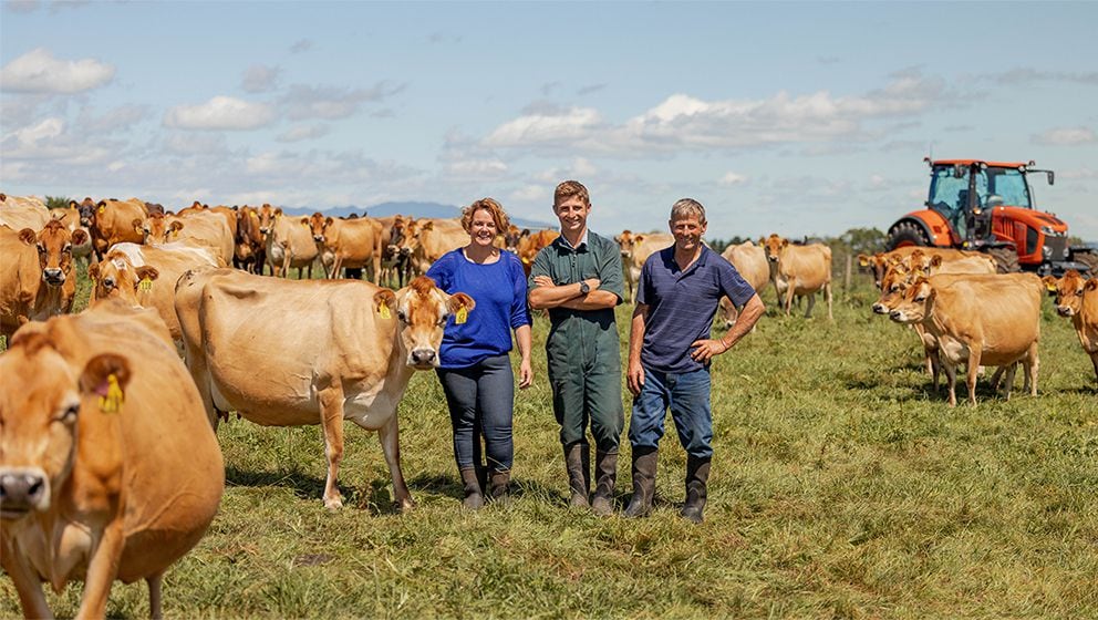 nzherald.co.nz - Healthy happy cows and people': Welcome to Jerseyhill Farm