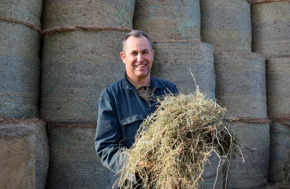 Holiday hay bales of Jones County