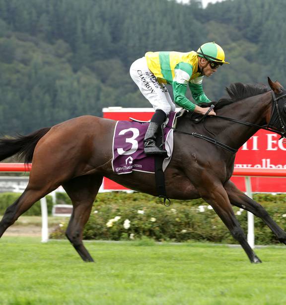 Racing: Dramatic hike in weights for runners at City of Auckland Cup - NZ  Herald