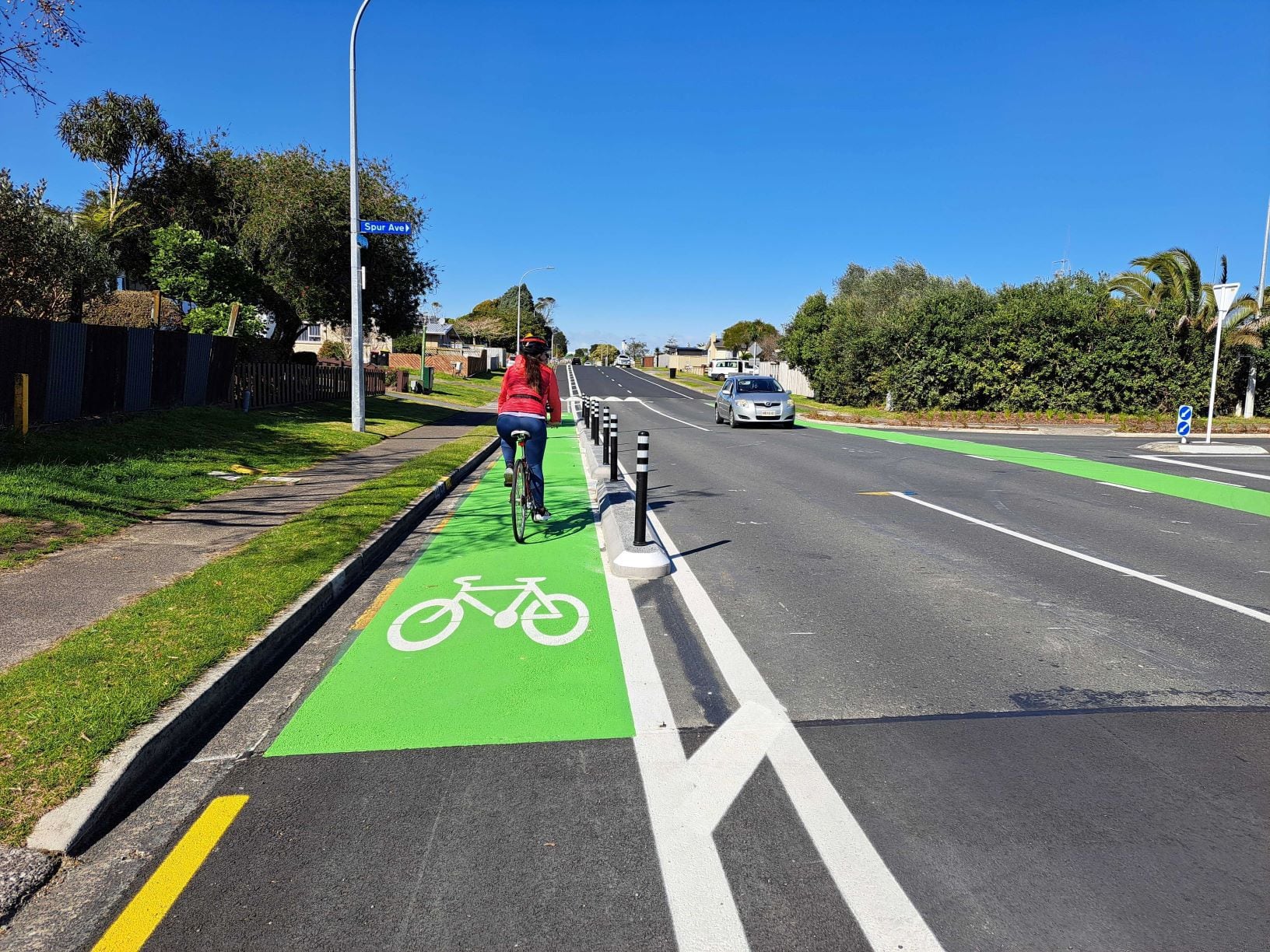 New cycle lane barriers on Links Ave. Photo / Sandra Conchie.