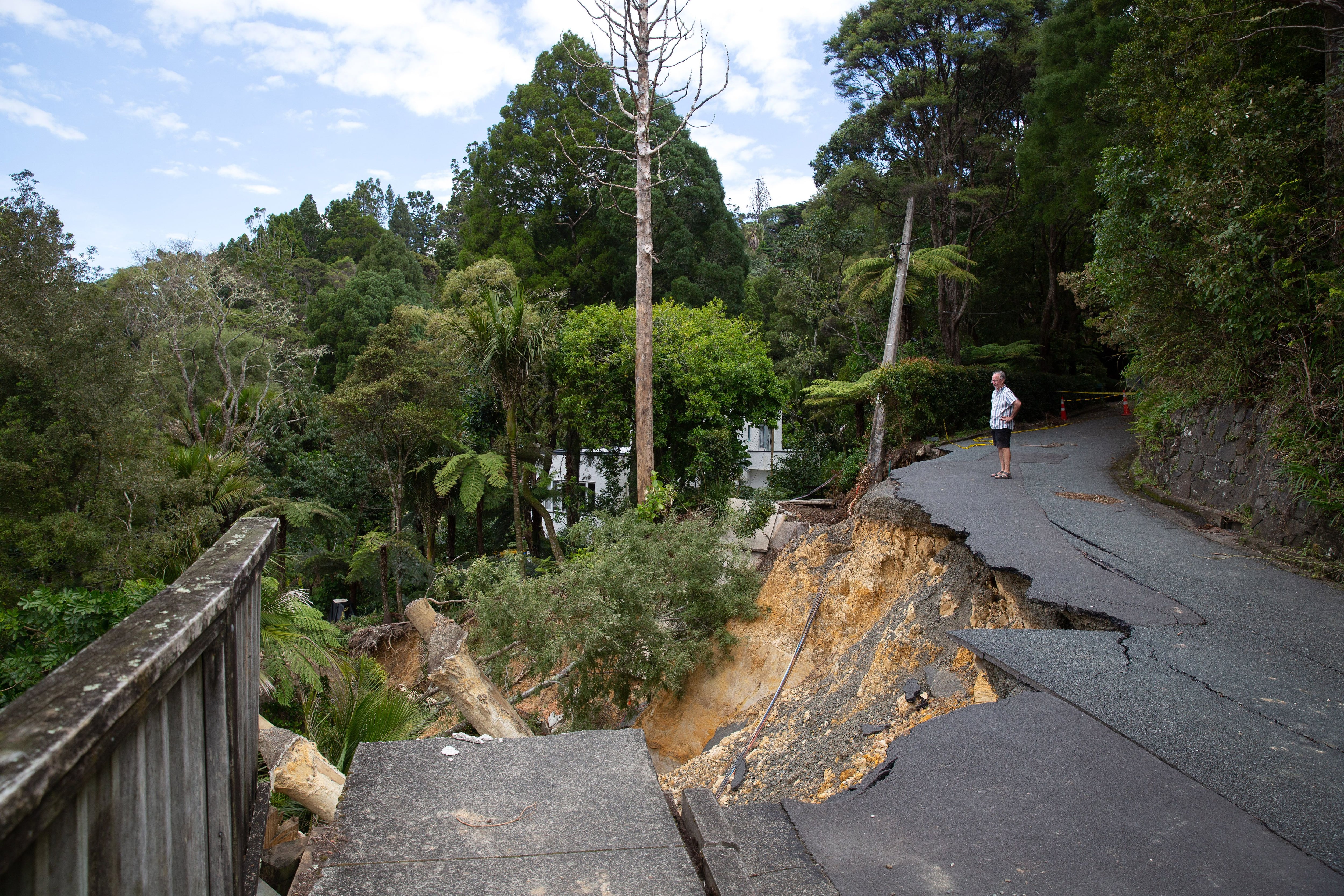 South Titirangi Neighbourhood Network - We're trialing a new