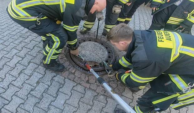 A crew of firefighters managed to free the rat. Photo / Berufstierrettung Rhein Neckar Facebook