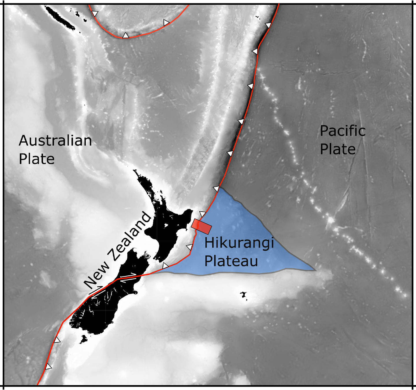This map shows the Hikurangi plateau: a remnant of a series of epic volcanic eruptions that began 125 million years ago in the Pacific Ocean. A recent seismic survey – carried out in the area marked by the red rectangle - imaged the plateau as it sinks into New Zealand’s Hikurangi Subduction Zone (red line). Image / Andrew Gase
