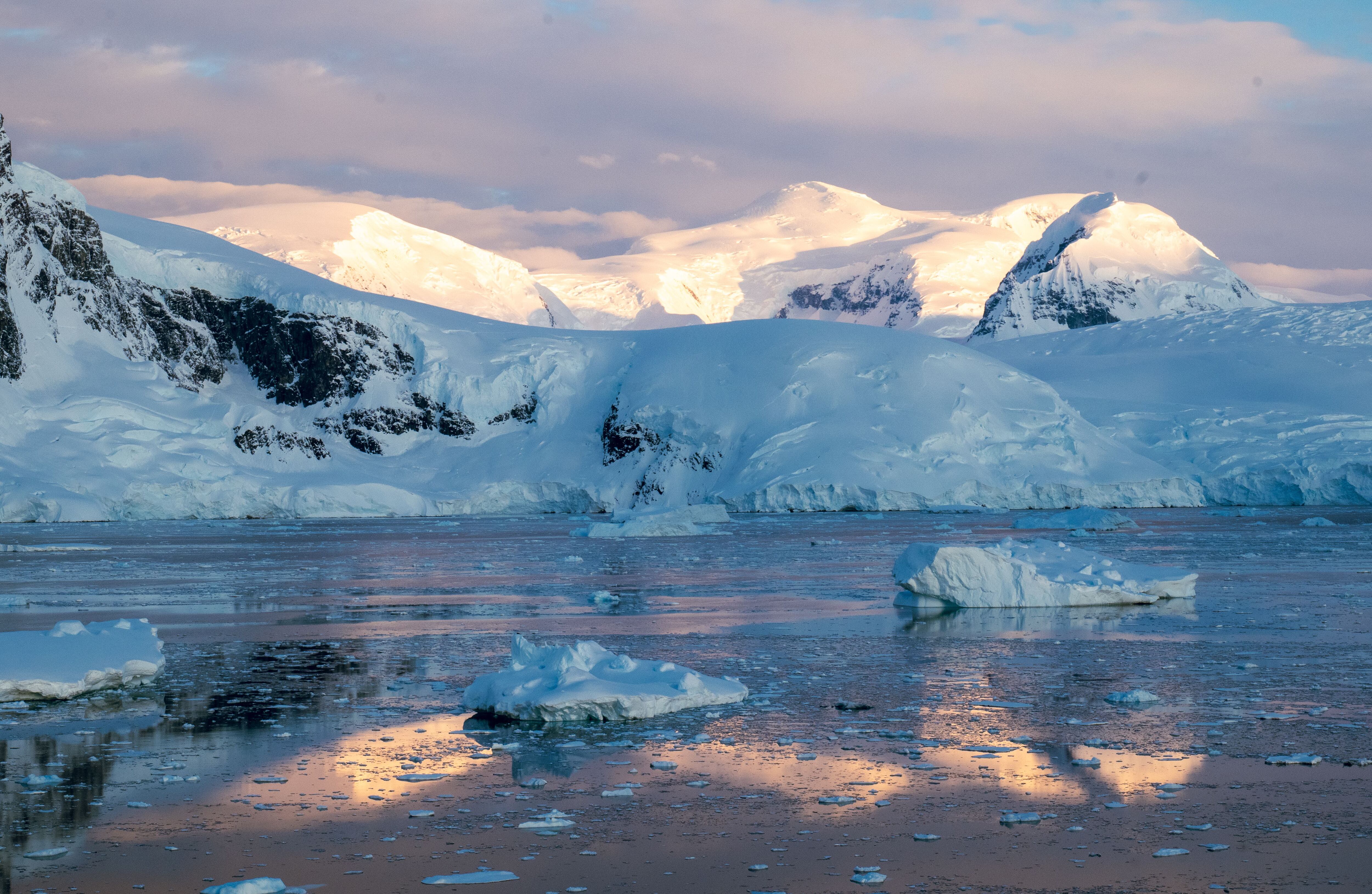 Toddyn Iceberg