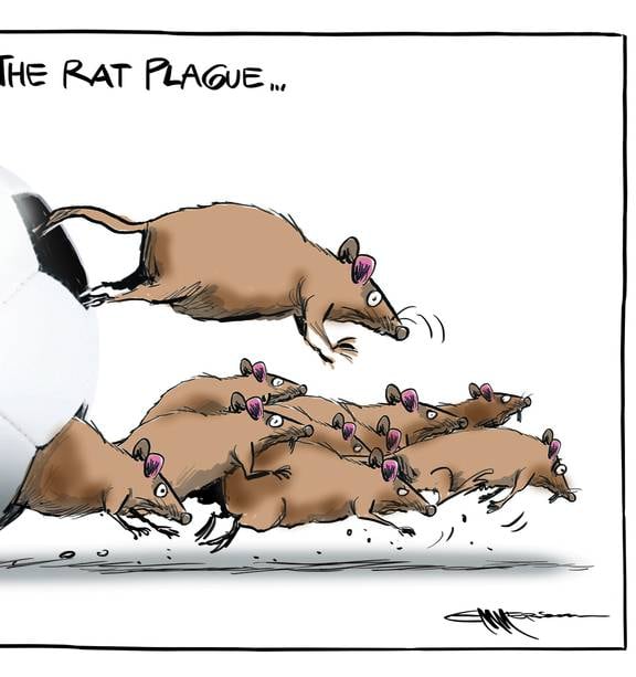 black death rats cartoon