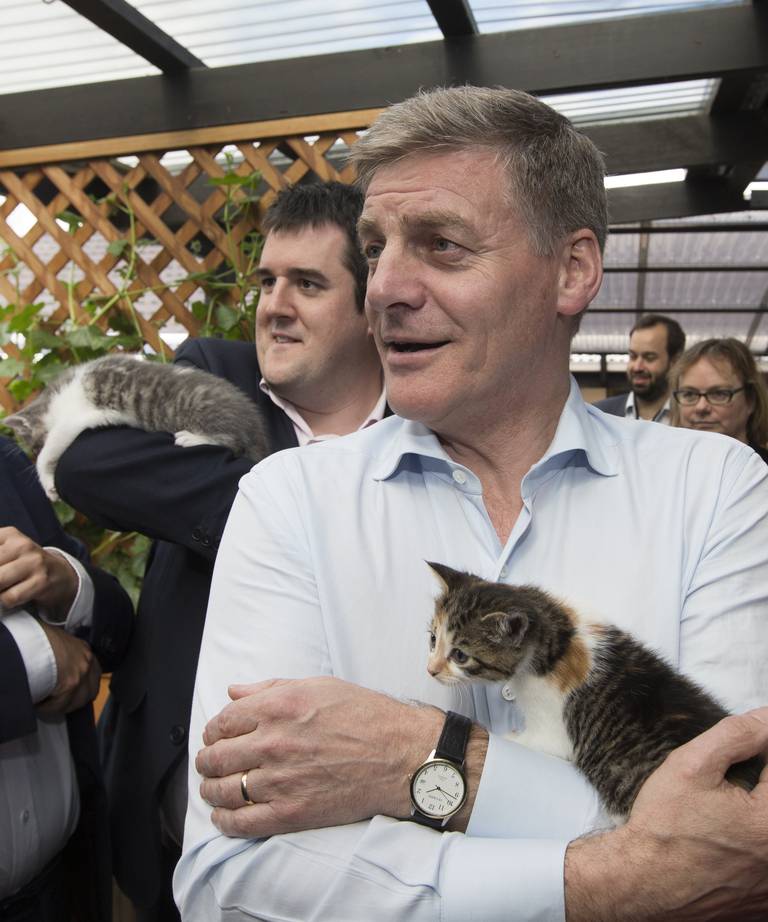🄴🄻🄱🄾🅆 on X: A lot can happen in 4½ years of politics since Bill  English, 39 of 67 MPs now gone from the National Party.   / X