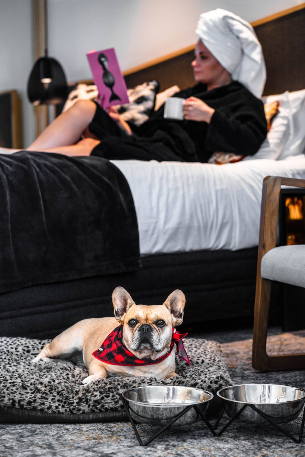 Luxury hotel brand launches dog-friendly suites with canine rates - NZ