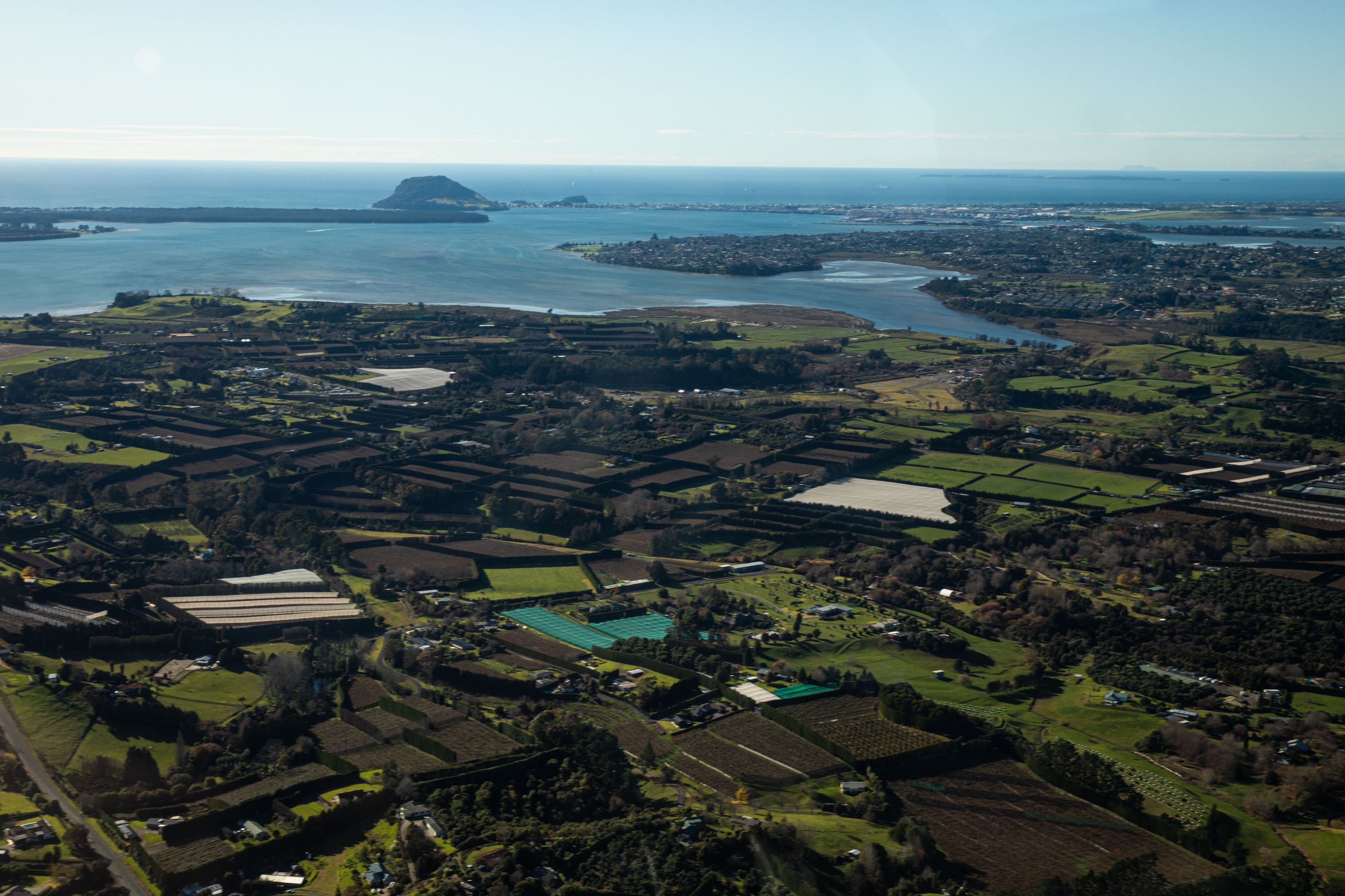 Western Bay of Plenty District Council is proposing to have three community boards instead of five. Photo / Mead Norton
