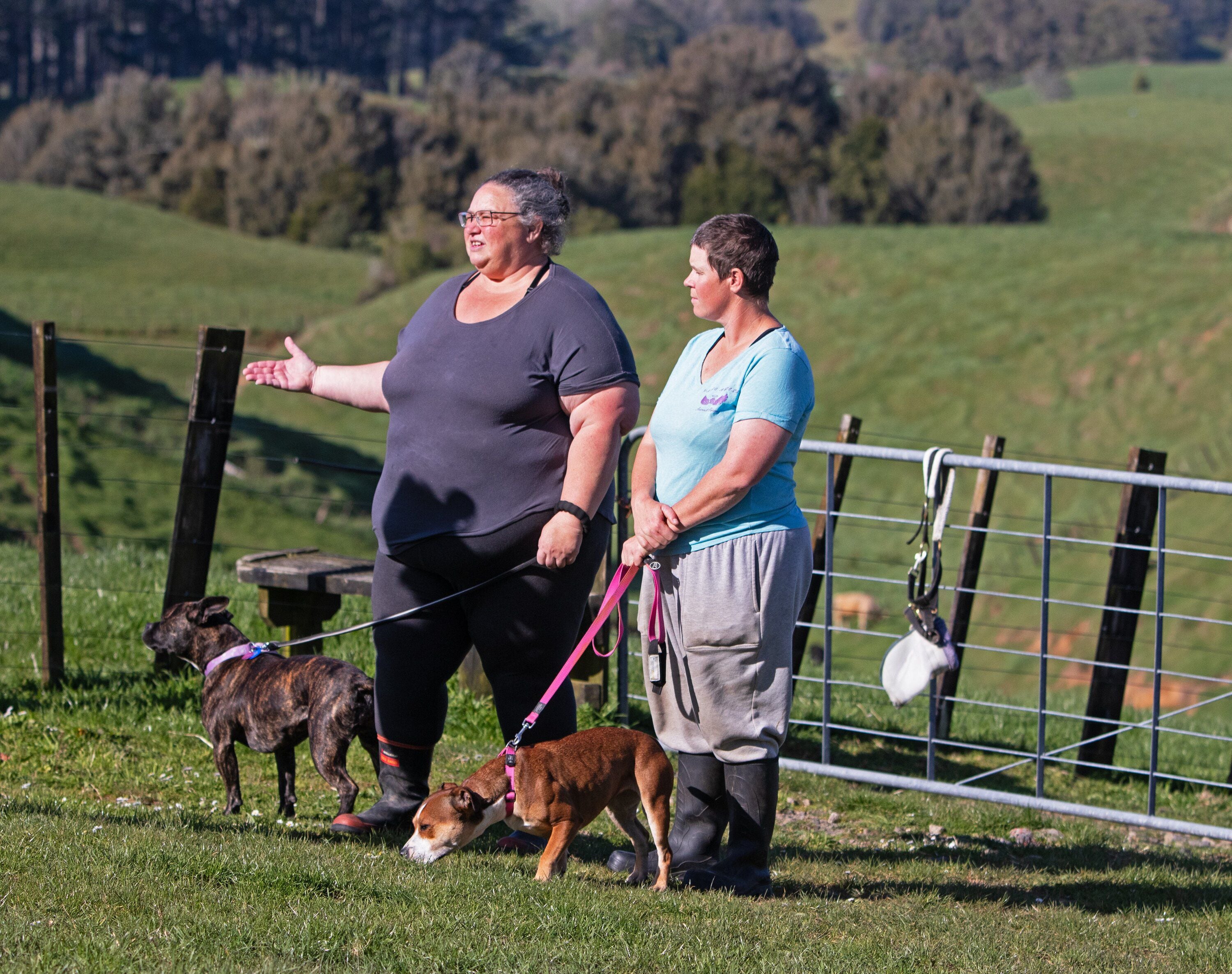 Thompson and Pearson with two rescue dogs. Photo / Bob Tulloch