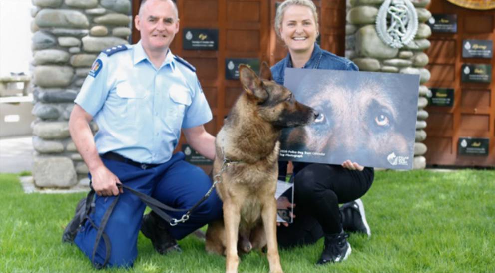 Paws up! Cuteness alert as police dog calendars go on sale NZ Herald
