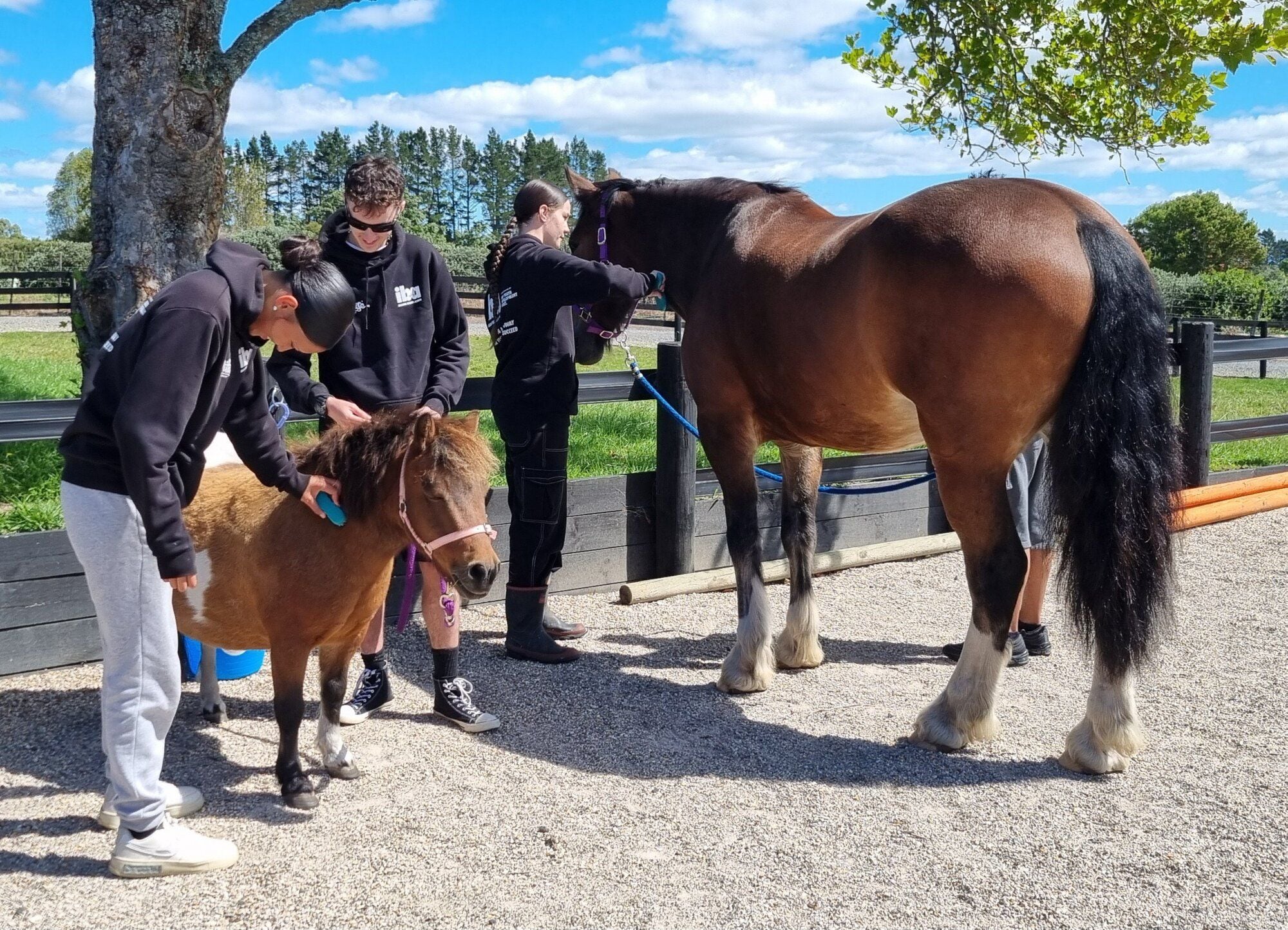  Members of Imagine, Believe, Achieve during a session with horses Twilight (left) and Tommy. Supplied photo