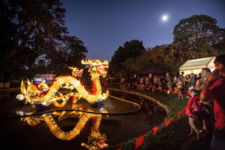 Auckland's Chinese Lantern Festival All you need to know NZ Herald