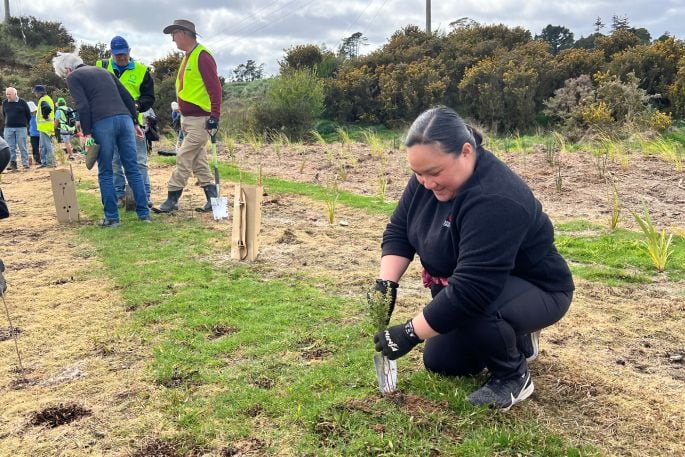 Kristina Montuya helping to plant 4500 plants in Kōpūrererua Valley on September 29. Photo: Supplied