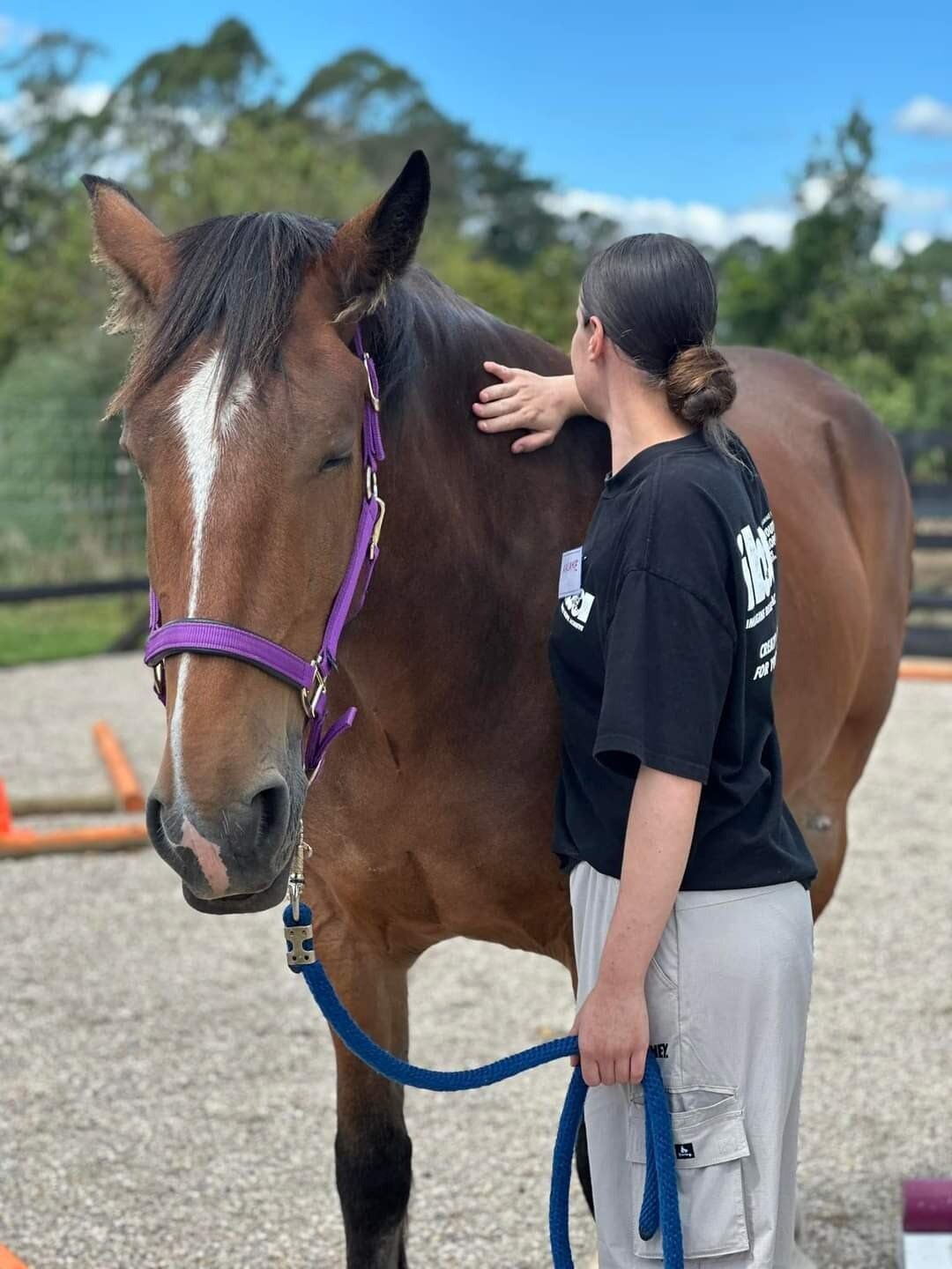  A member of the BOP Youth Development Team, Imagine, Believe, Achieve strokes Tommy the horse. Supplied photo