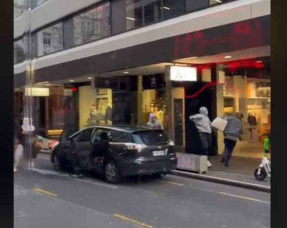 Three charged over animal rights stunt at Perth Louis Vuitton store - NZ  Herald