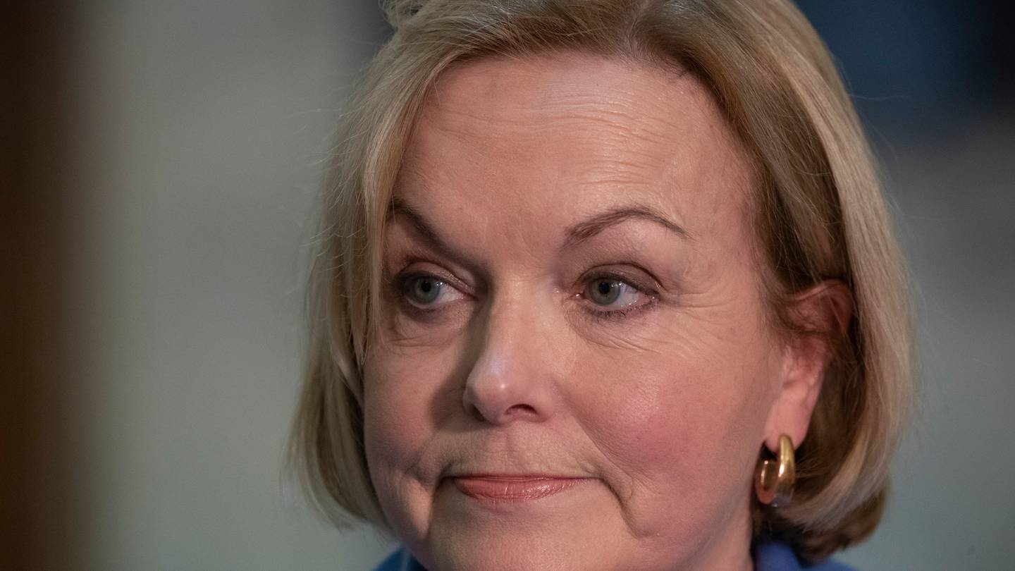 National Party leader Judith Collins says it is normal for the opposition leader to take a fall in ratings after an election. Photo / Mark Mitchell